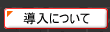 ɂ